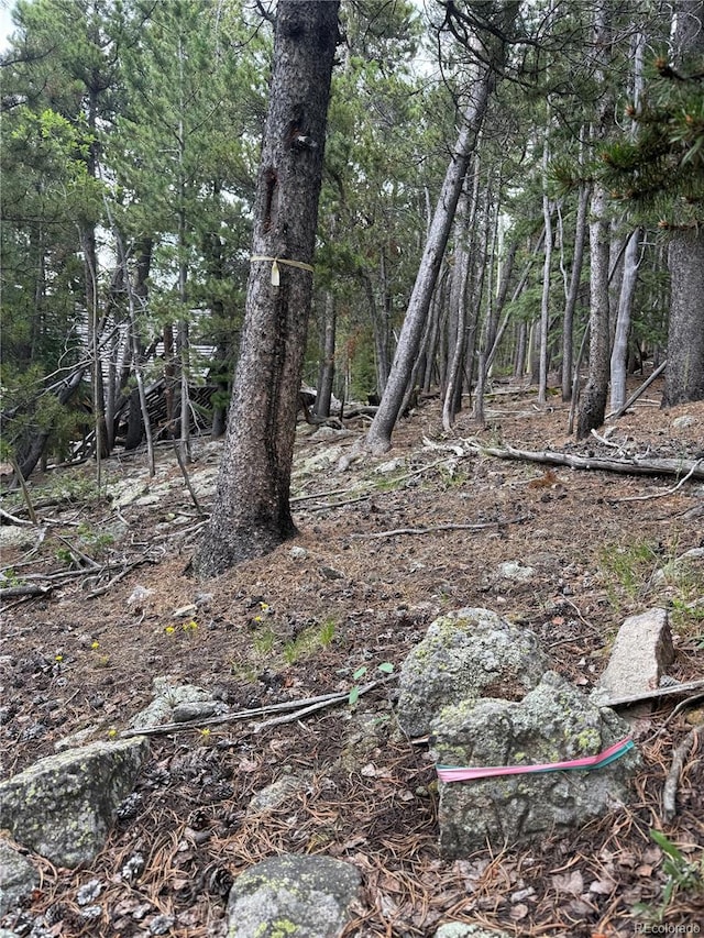 3747 S Spring Gulch Rd, Idaho Springs, CO 80452 - photo 27