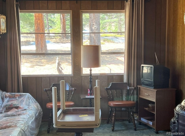 interior space featuring a wealth of natural light, dark colored carpet, and wood walls