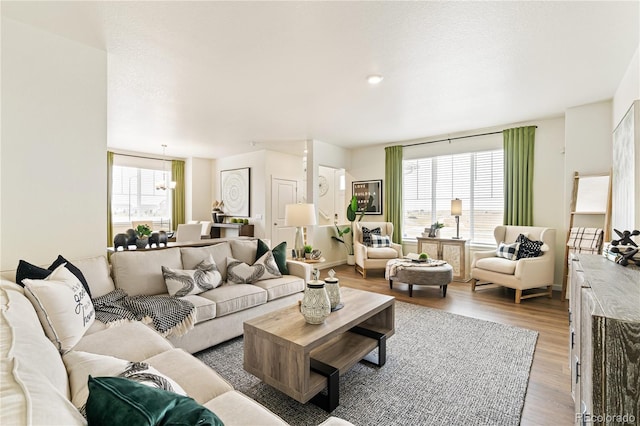 living room with an inviting chandelier, a wealth of natural light, and hardwood / wood-style flooring