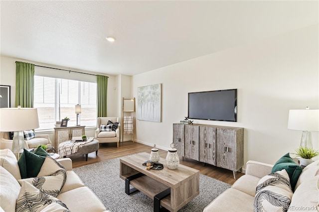 living room with hardwood / wood-style flooring