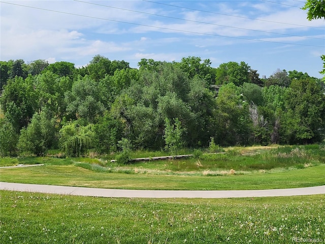 surrounding community featuring a lawn