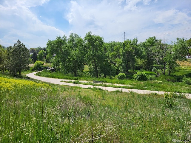 view of landscape