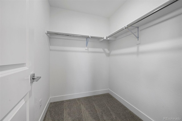 walk in closet featuring dark carpet