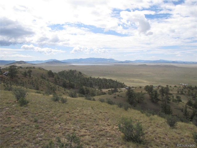 1224 Settele Dr, Hartsel, CO 80449 - photo 1