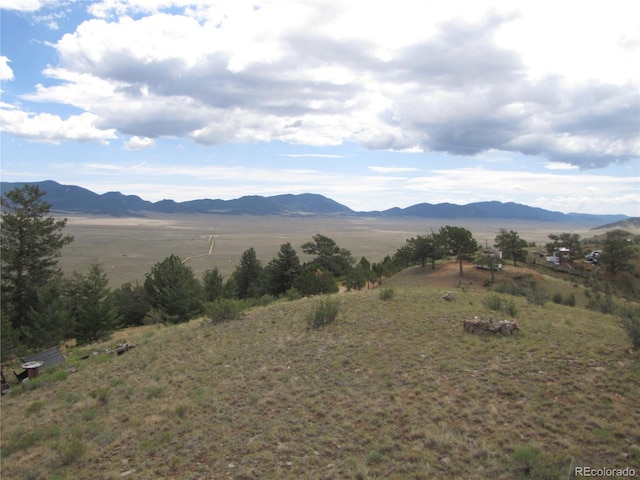 1224 Settele Dr, Hartsel, CO 80449 - photo 4
