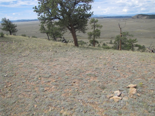 1224 Settele Dr, Hartsel, CO 80449 - photo 6