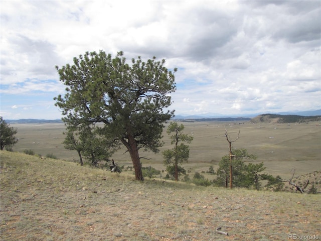1224 Settele Dr, Hartsel, CO 80449 - photo 9