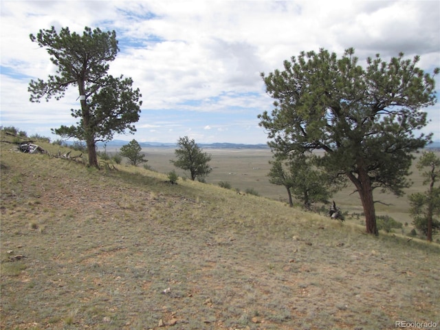 1224 Settele Dr, Hartsel, CO 80449 - photo 10