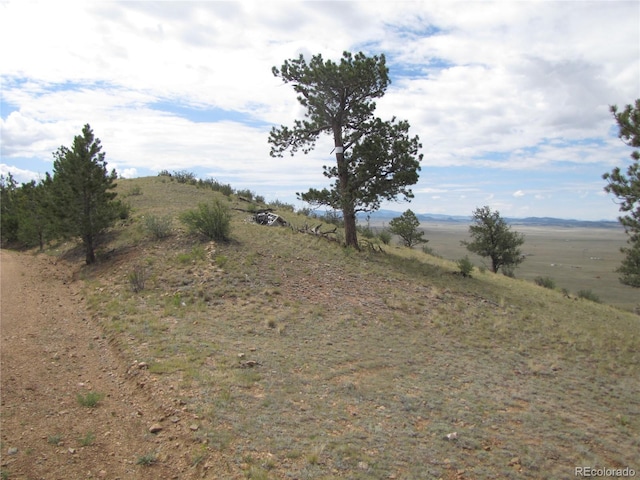 1224 Settele Dr, Hartsel, CO 80449 - photo 11