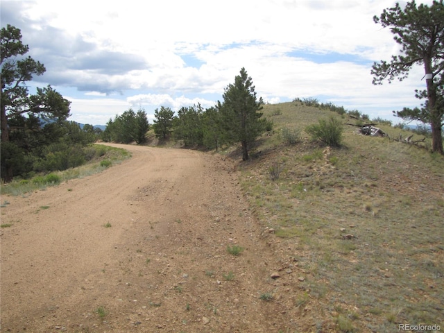 1224 Settele Dr, Hartsel, CO 80449 - photo 12