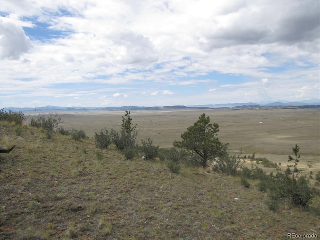 1224 Settele Dr, Hartsel, CO 80449 - photo 14