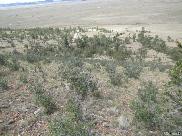 1224 Settele Dr, Hartsel, CO 80449 - photo 15