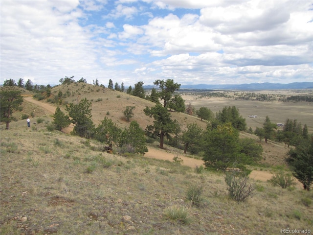1224 Settele Dr, Hartsel, CO 80449 - photo 19