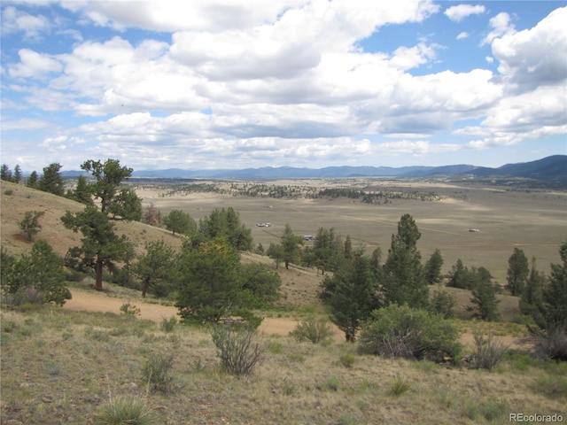 1224 Settele Dr, Hartsel, CO 80449 - photo 20