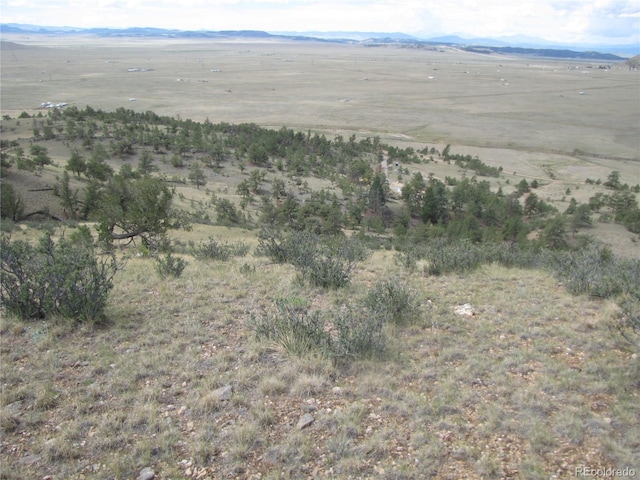 1224 Settele Dr, Hartsel, CO 80449 - photo 21
