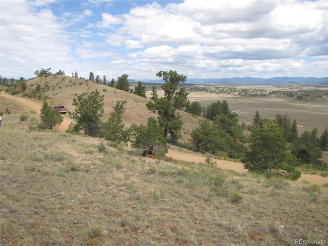1224 Settele Dr, Hartsel, CO 80449 - photo 22
