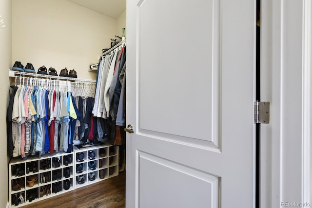 walk in closet with dark hardwood / wood-style floors