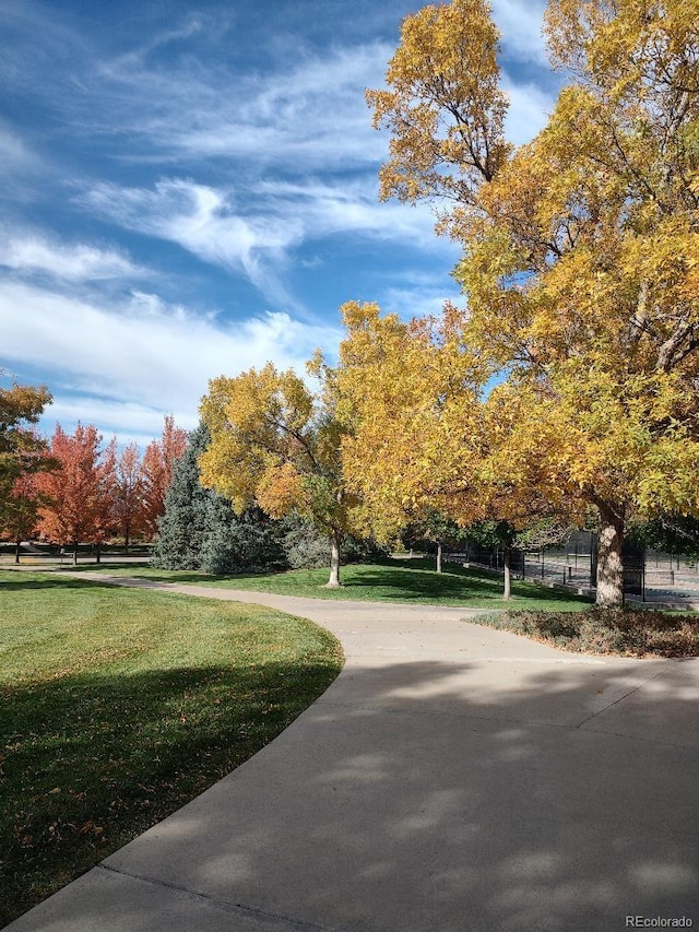 surrounding community featuring a yard