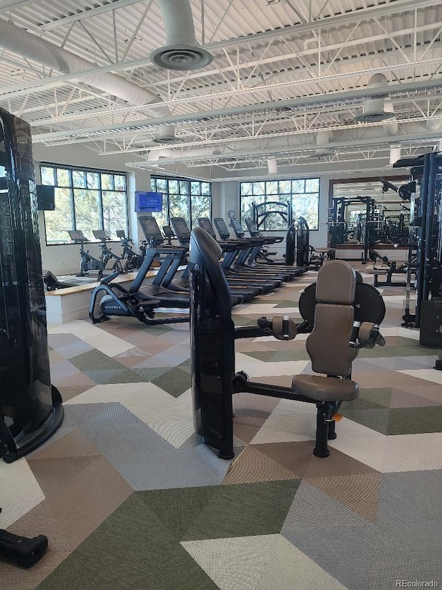 exercise room featuring a healthy amount of sunlight and carpet