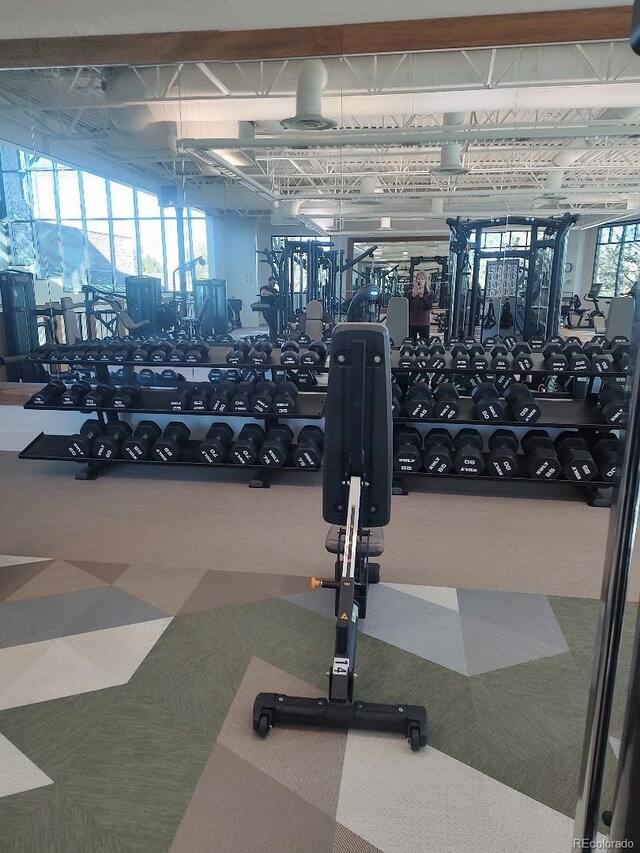 workout area featuring carpet flooring