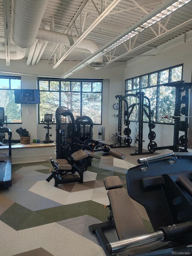 workout area with carpet