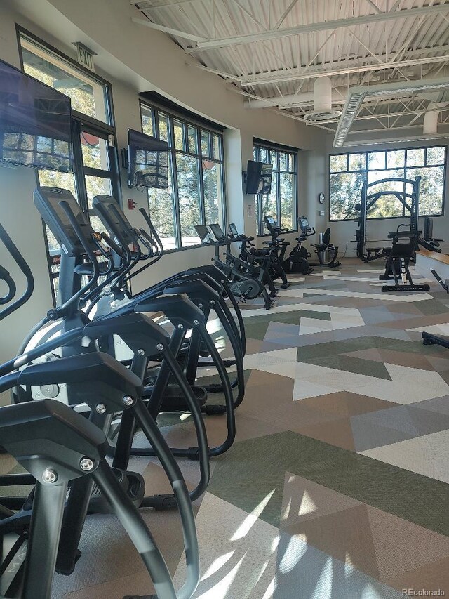 exercise room with carpet