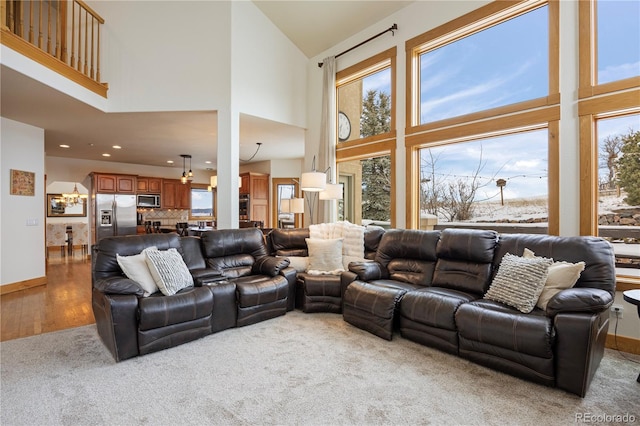 living room featuring a towering ceiling and hardwood / wood-style floors