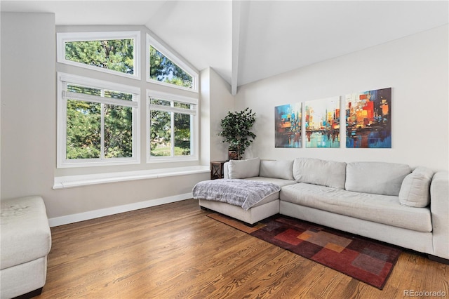 living room featuring vaulted ceiling and hardwood / wood-style floors