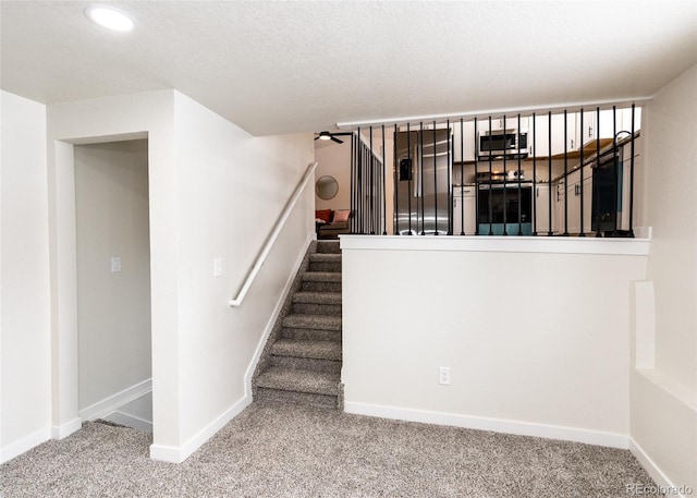 staircase featuring carpet