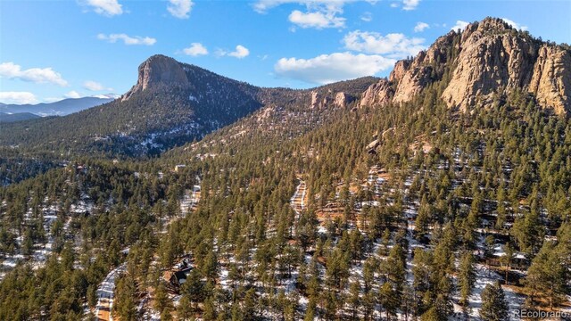 35441 Upper Aspen Ln, Pine, CO 80470 - photo 21