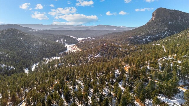 35441 Upper Aspen Ln, Pine, CO 80470 - photo 22