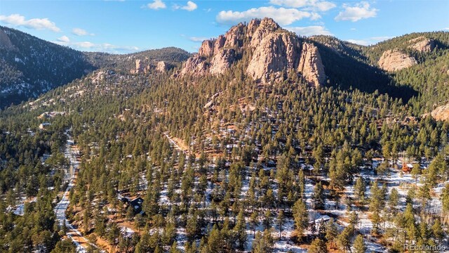35441 Upper Aspen Ln, Pine, CO 80470 - photo 27