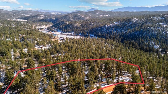 35441 Upper Aspen Ln, Pine, CO 80470 - photo 28