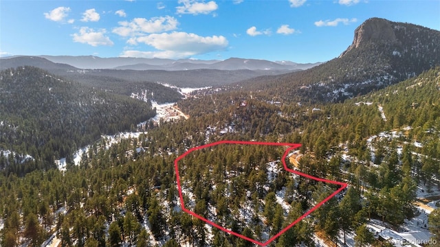 35441 Upper Aspen Ln, Pine, CO 80470 - photo 4