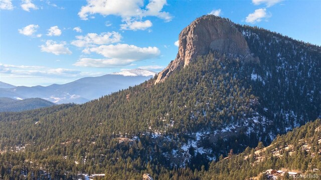 35441 Upper Aspen Ln, Pine, CO 80470 - photo 6