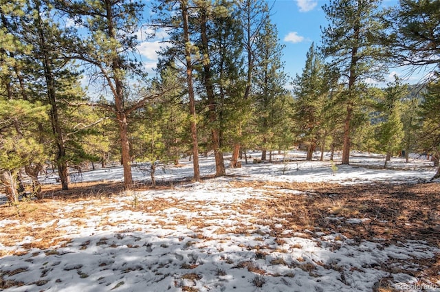 35441 Upper Aspen Ln, Pine, CO 80470 - photo 8