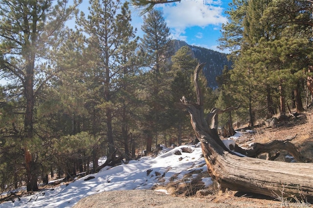 35441 Upper Aspen Ln, Pine, CO 80470 - photo 13