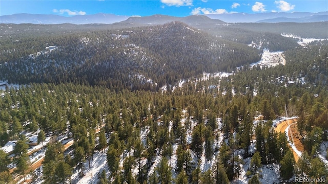 35441 Upper Aspen Ln, Pine, CO 80470 - photo 14