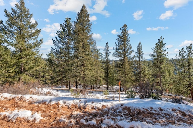35441 Upper Aspen Ln, Pine, CO 80470 - photo 15