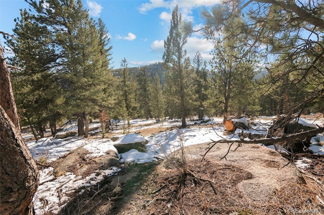 35441 Upper Aspen Ln, Pine, CO 80470 - photo 16
