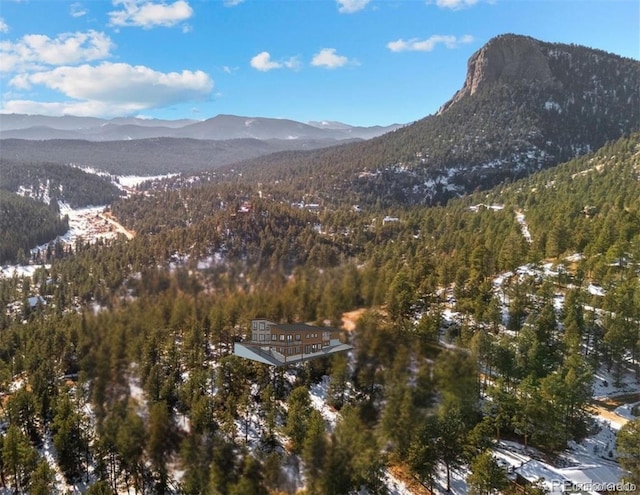 35441 Upper Aspen Ln, Pine, CO 80470 - photo 19