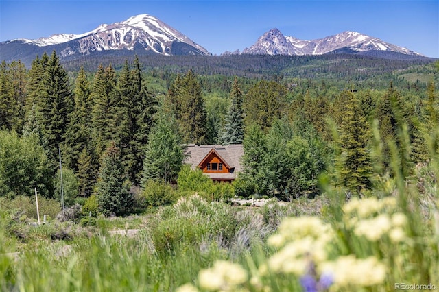 486 Sage Creek Canyon Dr, Silverthorne, CO 80498 - photo 4