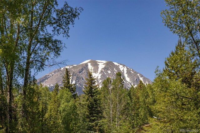 486 Sage Creek Canyon Dr, Silverthorne, CO 80498 - photo 7