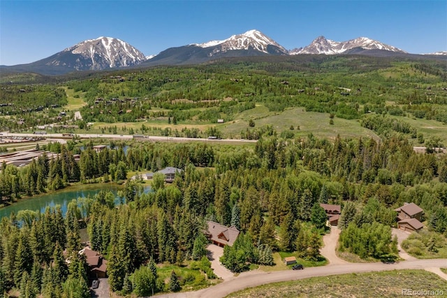 486 Sage Creek Canyon Dr, Silverthorne, CO 80498 - photo 46