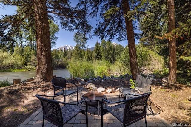 486 Sage Creek Canyon Dr, Silverthorne, CO 80498 - photo 47