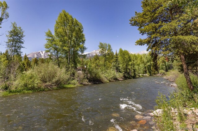 486 Sage Creek Canyon Dr, Silverthorne, CO 80498 - photo 10
