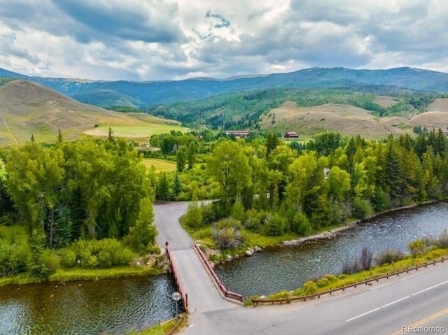 486 Sage Creek Canyon Dr, Silverthorne, CO 80498 - photo 11