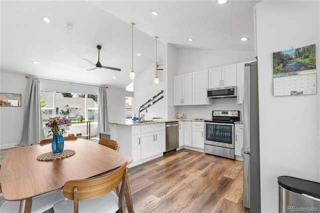 6604 S Dahlia Cir, Centennial, CO 80121 - kitchen featuring appliances with stainless steel finishes, a peninsula, lofted ceiling, wood finished floors, and a ceiling fan