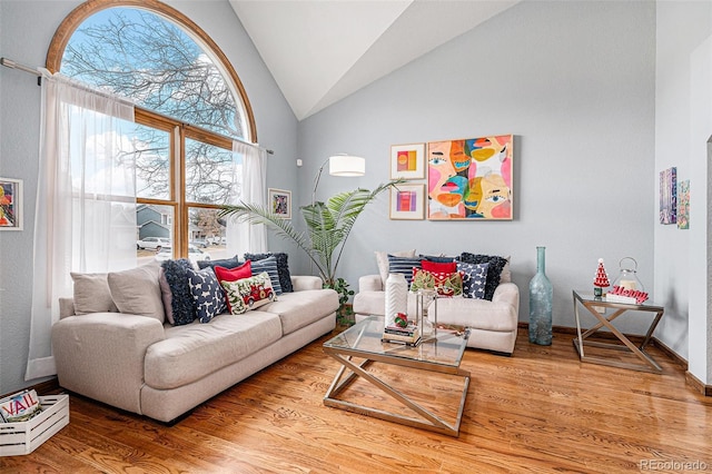 living room with wood-type flooring and high vaulted ceiling