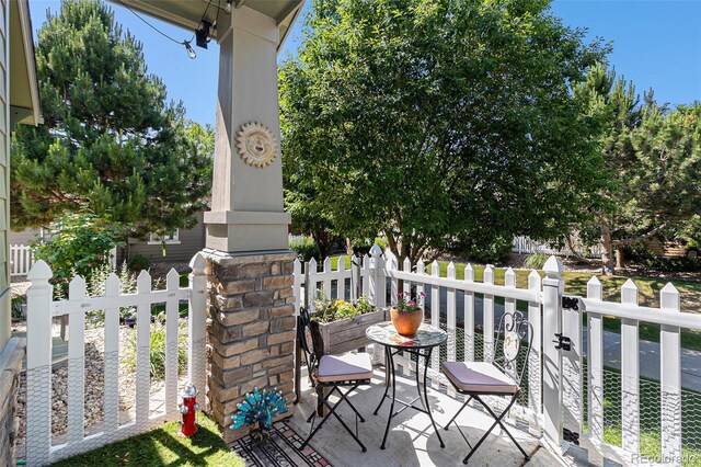 1153 Village Cir, Erie, CO 80516 - photo 20